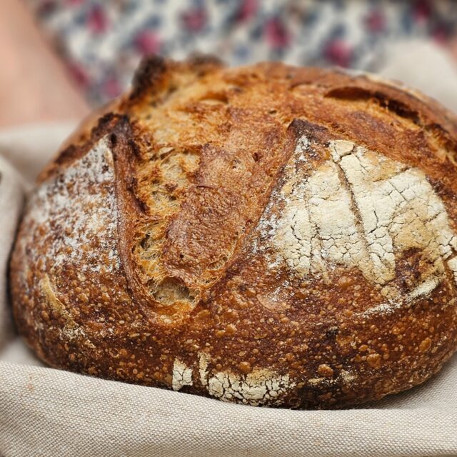 xr:d:DAFpEoMzPeg:96,j:4789984077828176537,t:23101311